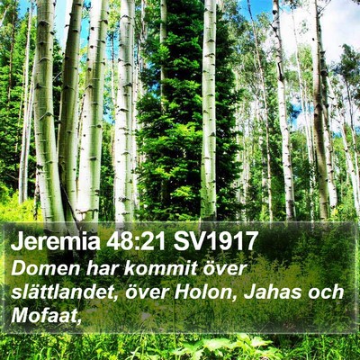 Jeremia 48:21 SV1917 Bible Verse Image