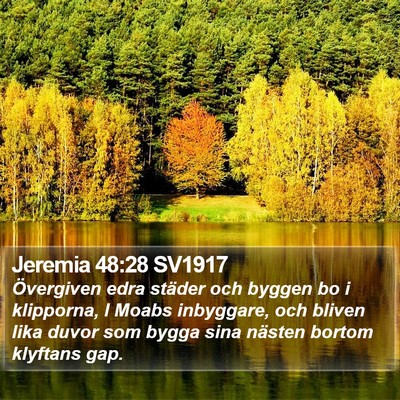 Jeremia 48:28 SV1917 Bible Verse Image