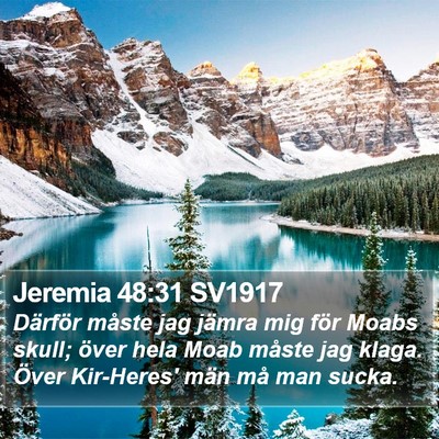 Jeremia 48:31 SV1917 Bible Verse Image