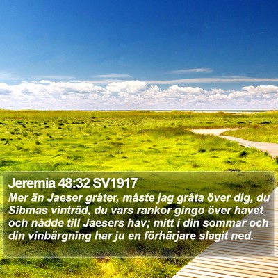 Jeremia 48:32 SV1917 Bible Verse Image