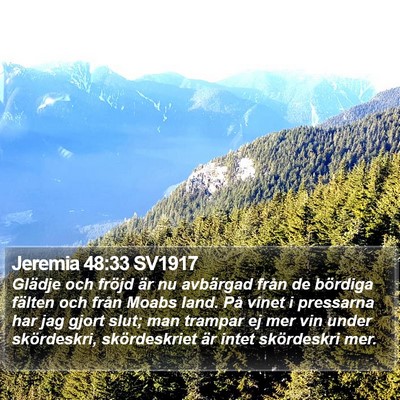 Jeremia 48:33 SV1917 Bible Verse Image
