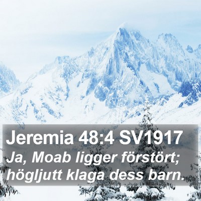 Jeremia 48:4 SV1917 Bible Verse Image