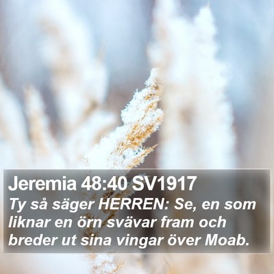 Jeremia 48:40 SV1917 Bible Verse Image