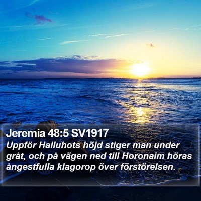 Jeremia 48:5 SV1917 Bible Verse Image