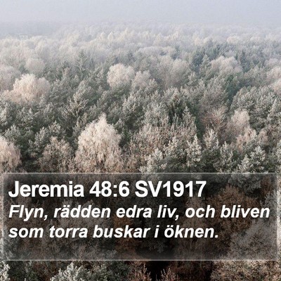 Jeremia 48:6 SV1917 Bible Verse Image
