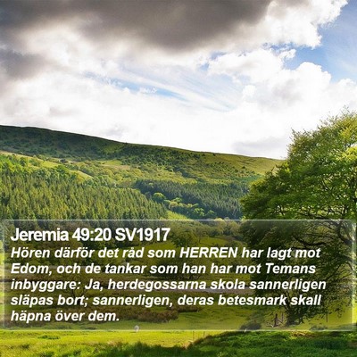 Jeremia 49:20 SV1917 Bible Verse Image
