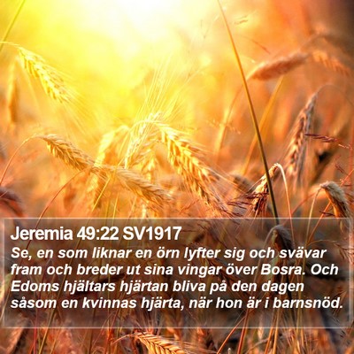 Jeremia 49:22 SV1917 Bible Verse Image