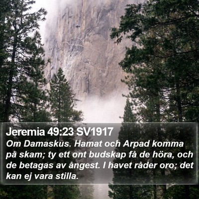 Jeremia 49:23 SV1917 Bible Verse Image