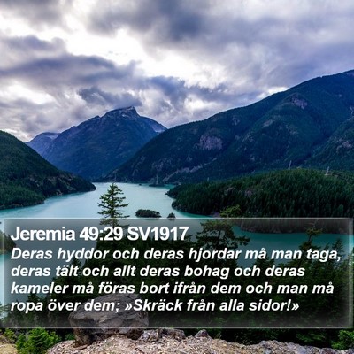 Jeremia 49:29 SV1917 Bible Verse Image