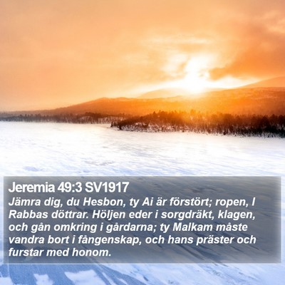 Jeremia 49:3 SV1917 Bible Verse Image