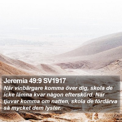 Jeremia 49:9 SV1917 Bible Verse Image