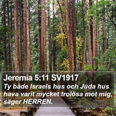Jeremia 5:11 SV1917 Bible Verse Image