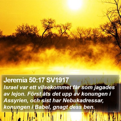 Jeremia 50:17 SV1917 Bible Verse Image