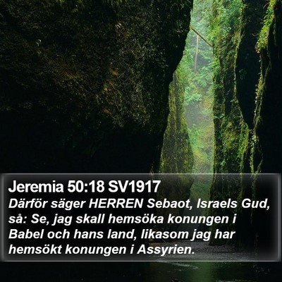 Jeremia 50:18 SV1917 Bible Verse Image