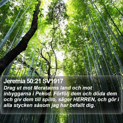Jeremia 50:21 SV1917 Bible Verse Image