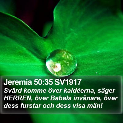 Jeremia 50:35 SV1917 Bible Verse Image