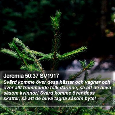 Jeremia 50:37 SV1917 Bible Verse Image