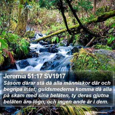 Jeremia 51:17 SV1917 Bible Verse Image