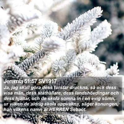 Jeremia 51:57 SV1917 Bible Verse Image