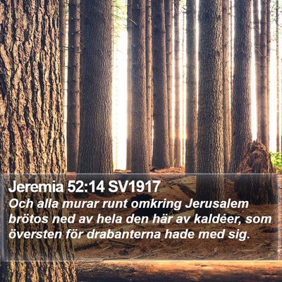 Jeremia 52:14 SV1917 Bible Verse Image
