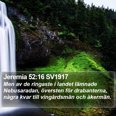 Jeremia 52:16 SV1917 Bible Verse Image