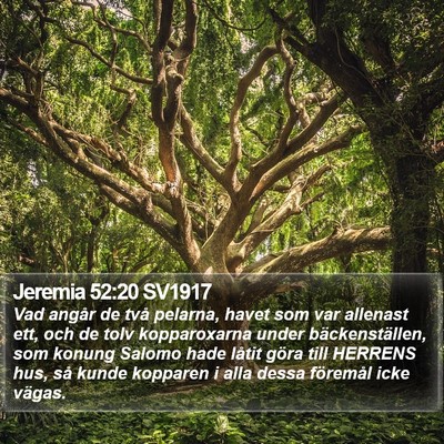 Jeremia 52:20 SV1917 Bible Verse Image