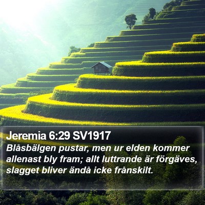 Jeremia 6:29 SV1917 Bible Verse Image