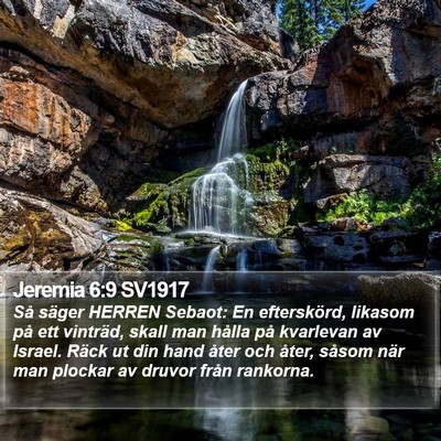 Jeremia 6:9 SV1917 Bible Verse Image