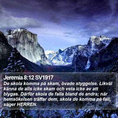 Jeremia 8:12 SV1917 Bible Verse Image