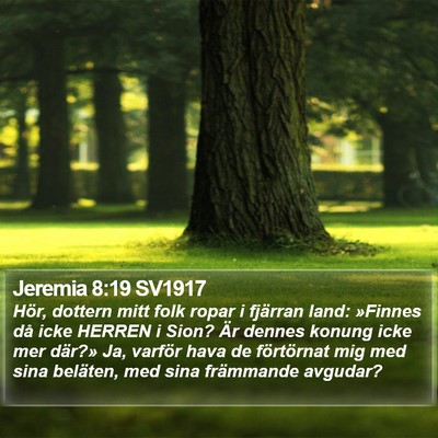 Jeremia 8:19 SV1917 Bible Verse Image
