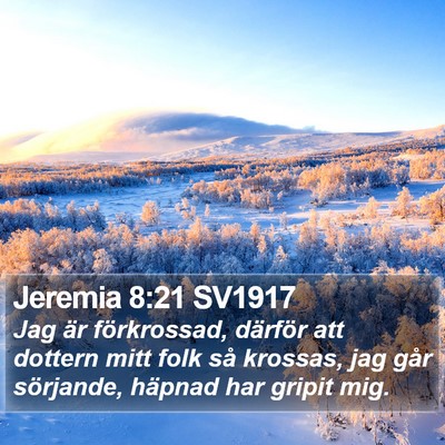 Jeremia 8:21 SV1917 Bible Verse Image
