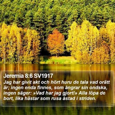 Jeremia 8:6 SV1917 Bible Verse Image