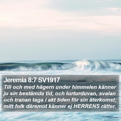 Jeremia 8:7 SV1917 Bible Verse Image
