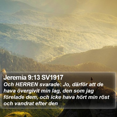 Jeremia 9:13 SV1917 Bible Verse Image