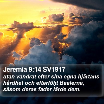 Jeremia 9:14 SV1917 Bible Verse Image