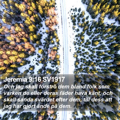 Jeremia 9:16 SV1917 Bible Verse Image