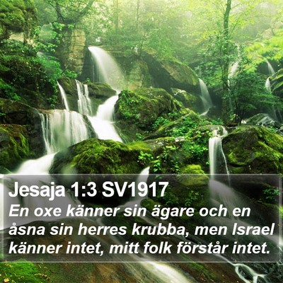 Jesaja 1:3 SV1917 Bible Verse Image