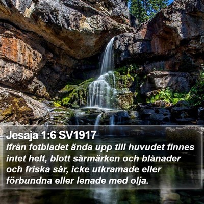 Jesaja 1:6 SV1917 Bible Verse Image