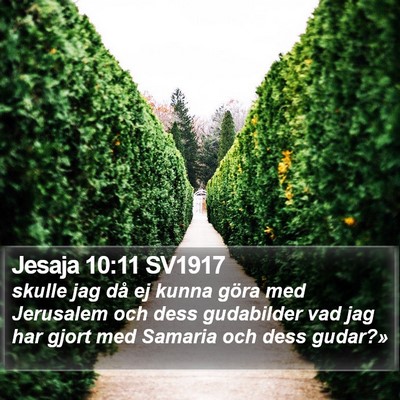 Jesaja 10:11 SV1917 Bible Verse Image