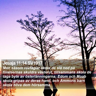 Jesaja 11:14 SV1917 Bible Verse Image