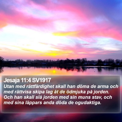Jesaja 11:4 SV1917 Bible Verse Image