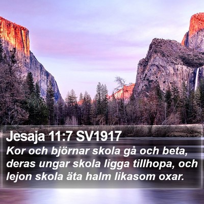 Jesaja 11:7 SV1917 Bible Verse Image