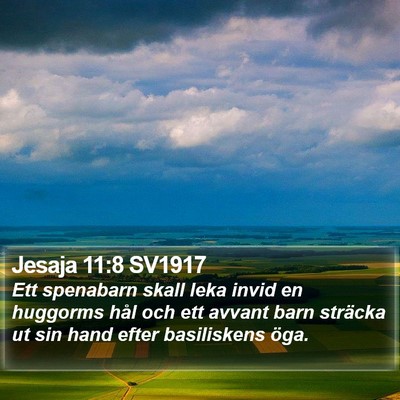 Jesaja 11:8 SV1917 Bible Verse Image