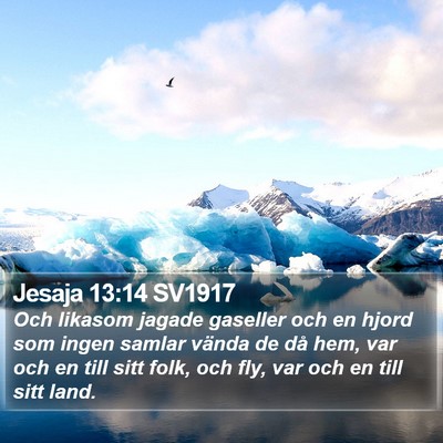 Jesaja 13:14 SV1917 Bible Verse Image