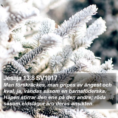 Jesaja 13:8 SV1917 Bible Verse Image