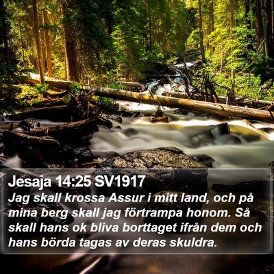Jesaja 14:25 SV1917 Bible Verse Image