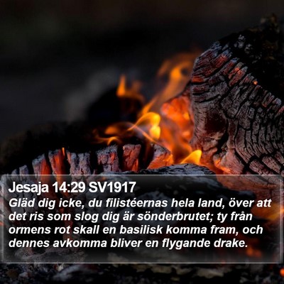 Jesaja 14:29 SV1917 Bible Verse Image