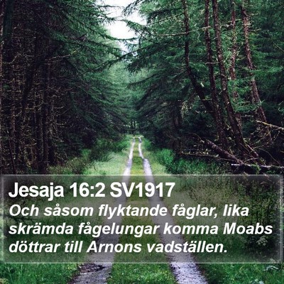 Jesaja 16:2 SV1917 Bible Verse Image