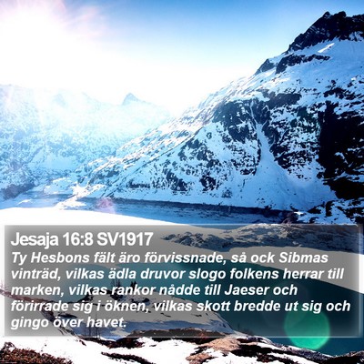 Jesaja 16:8 SV1917 Bible Verse Image