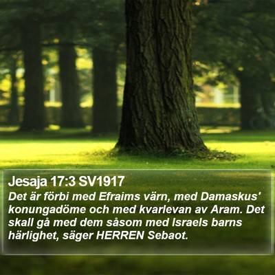 Jesaja 17:3 SV1917 Bible Verse Image